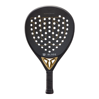 raquette wilson blade pro v2